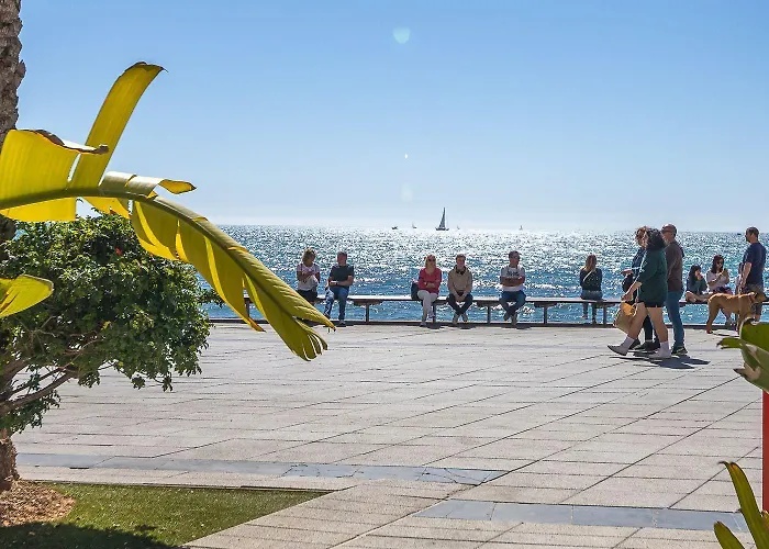 Santana Habaneras - 18 At With Garage, Pool And Lift * טורבייחה